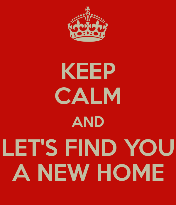 Agent_Robyn_Porter___Real_Estate_Agent___Long_Foster.png