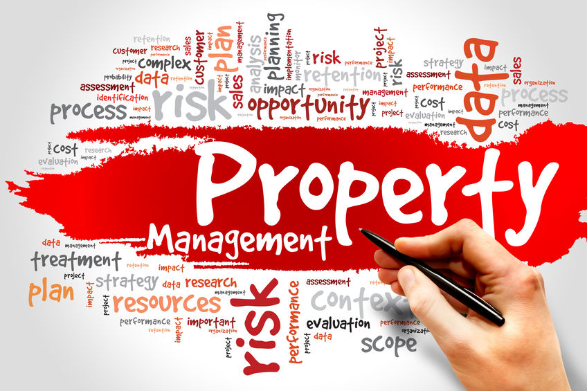 SO MANY DECISIONS -Selling your Home 